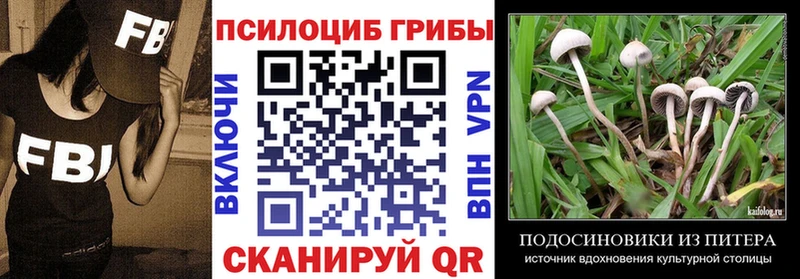 закладка  Гаврилов Посад  Псилоцибиновые грибы прущие грибы 